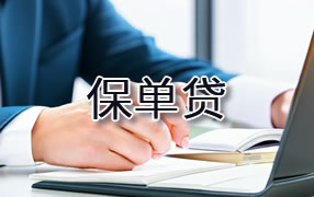 陇南保单贷